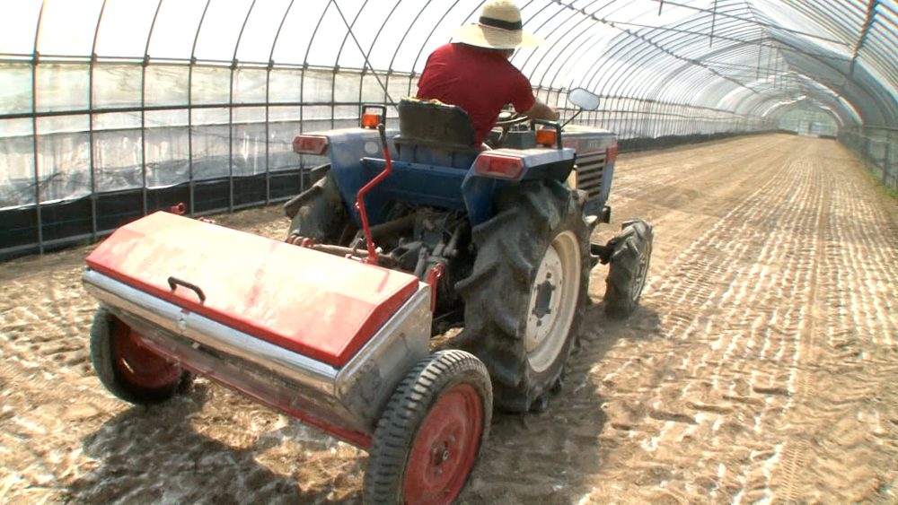 Oysters from Hiroshima Prefecture are now in season! We’ll make an in